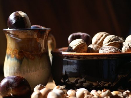 Назван самый лучший орех с точки зрения содержания белка