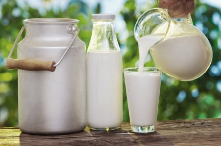 Что вызвало подорожание местной молочной продукции