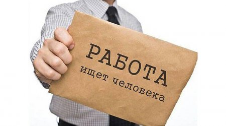 В Молдове представили ТОП-100 самых высокооплачиваемых вакансий