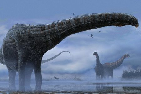 Палеонтологи нашли новый вид динозавров в Румынии и не могут понять, как он туда попал