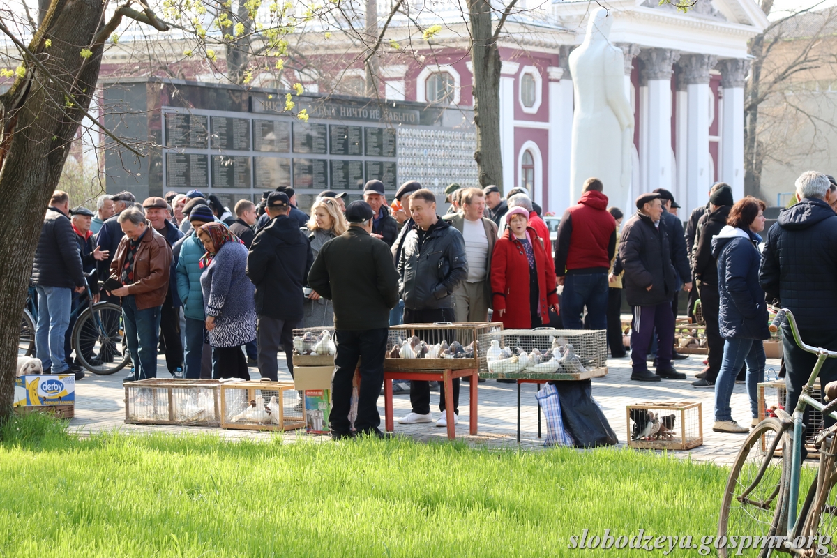 В Слободзейском районе провели выставку-ярмарку птиц и домашних животных »  Dnestr.TV - Первое Приднестровское Интернет-Телевидение