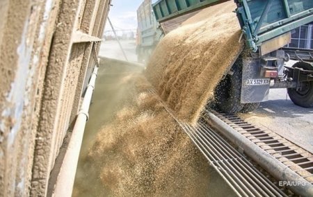 Украина экспортировала зерновых и масличных культур более чем на $20 млрд