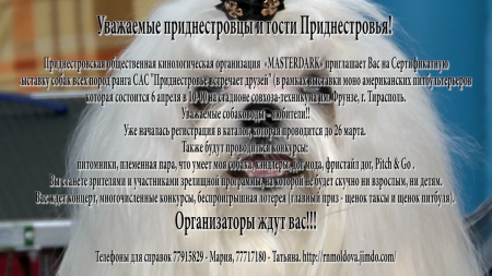     : "  "