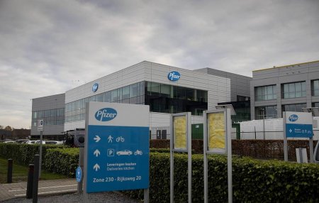    Pfizer     