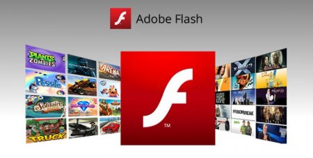  Flash  ,     