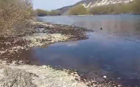   :      