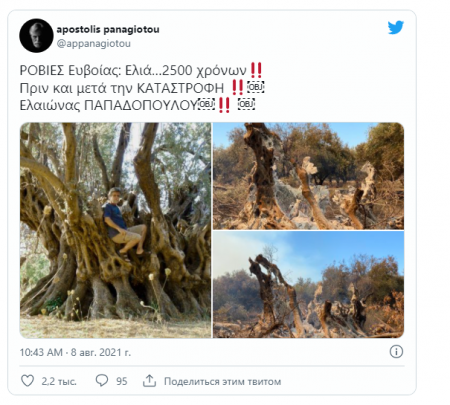        2500 
