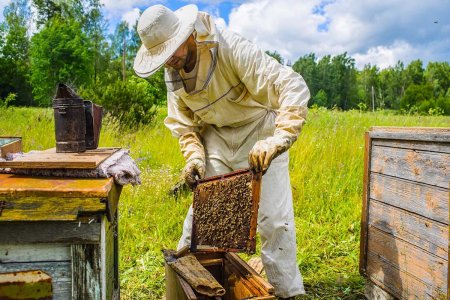    - BeeProtect   