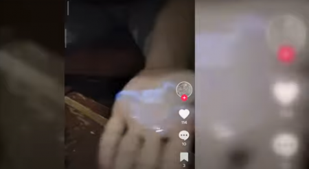    ,     -