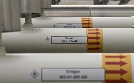 Welt       Gazprom Germania