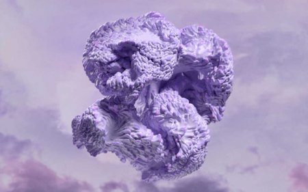    2023 