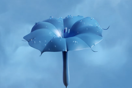   2023 