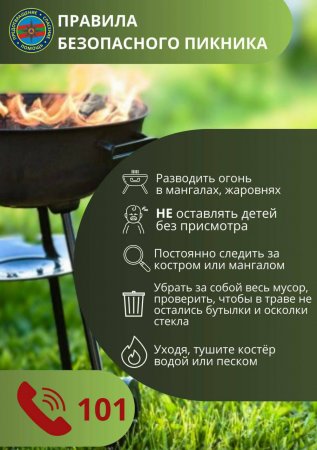 ГУпЧС призывает граждан соблюдать правила безопасного пикника ГУпЧС призывает граждан соблюдать правила безопасного пикника